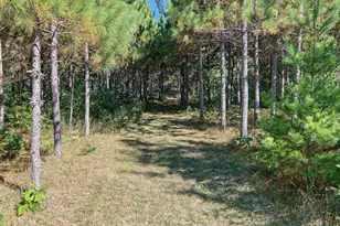 N10486 Elm Rd, Wausaukee, WI 54177 - Photo 74