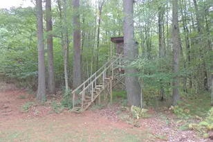 W10443 Trout Haven Rd, Dunbar, WI 54119 - Photo 32