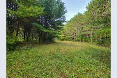 N9106 Pagel Road, Iola, WI 54945 - Photo 28