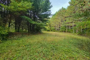 N9106 Pagel Rd, Iola, WI 54945 - Photo 28