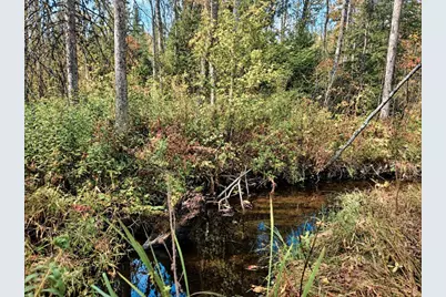 N17755 Lily Lake Road, Dunbar, WI 54119 - Photo 20