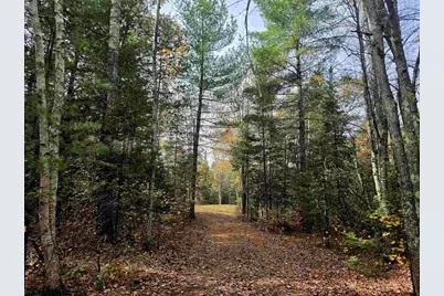 N17755 Lily Lake Road, Dunbar, WI 54119 - Photo 4