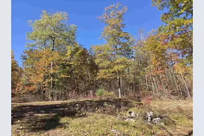 W10976 Woods Road, Dunbar, WI 54119 - Photo 8