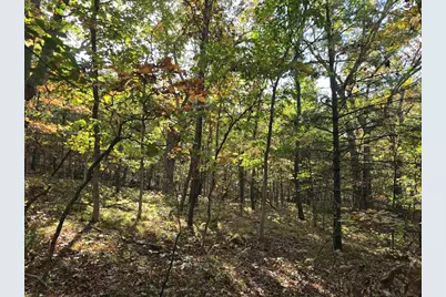 W2310 Witz Way, Neshkoro, WI 54960 - Photo 30