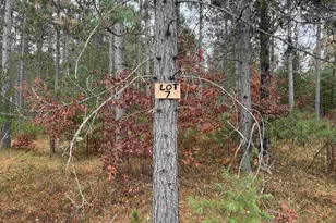 Trout Haven Rd, Dunbar, WI 54119 - Photo 1
