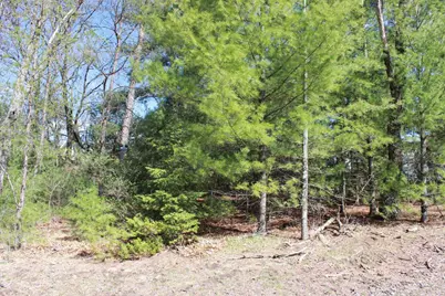 Lots 20-21 Leona Street, Friendship, WI 53934 - Photo 2