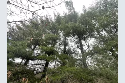 6131 Helena Road, Arena, WI 53503 - Photo 14