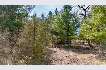 1199 Fawn Drive, Grand Marsh, WI 53936 - Photo 6