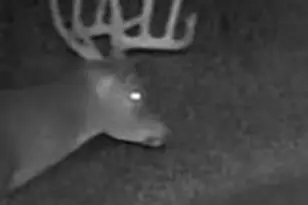 W7181 Duck Creek Ave, Westfield, WI 53964 - Photo 88