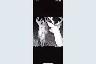 W7181 Duck Creek Avenue, Westfield, WI 53964 - Photo 86