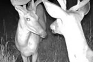 W7181 Duck Creek Ave, Westfield, WI 53964 - Photo 86