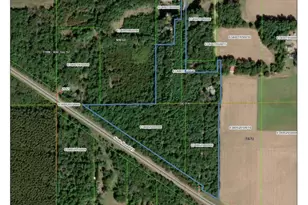 2028 A Hwy 21, Arkdale, WI 54613 - Photo 4