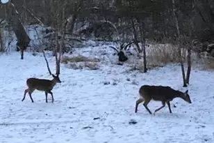 149 Oakwood Ave, Edgerton, WI 53534 - Photo 54