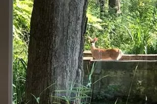 149 Oakwood Ave, Edgerton, WI 53534 - Photo 52