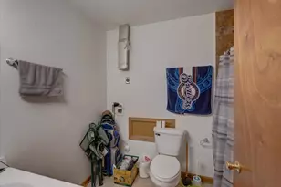 1010 Mills St, Black Earth, WI 53515 - Photo 40