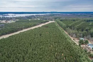 5 12 Ac County Road G, Necedah, WI 54646 - Photo 1