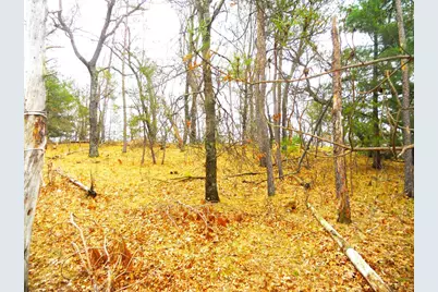 2482 Wilderness Trail, Friendship, WI 53934 - Photo 10