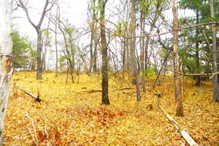 2482 Wilderness Trail, Friendship, WI 53934 - Photo 10