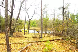 2482 Wilderness Trail, Friendship, WI 53934 - Photo 12