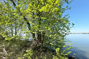 N10801 Elmwood Is, Fox Lake, WI 53933 - Photo 34