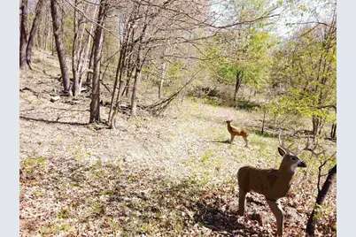 17511 Havenwood Rd Road, Sparta, WI 54656 - Photo 30