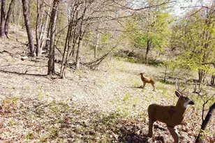 17511 Havenwood Rd Rd, Sparta, WI 54656 - Photo 30