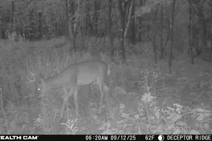 17511 Havenwood Rd Rd, Sparta, WI 54656 - Photo 48