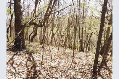 17511 Havenwood Rd Road, Sparta, WI 54656 - Photo 34