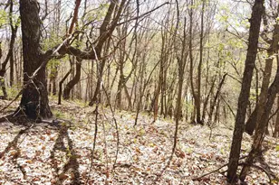 17511 Havenwood Rd Rd, Sparta, WI 54656 - Photo 34