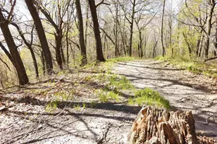 17511 Havenwood Rd Rd, Sparta, WI 54656 - Photo 38