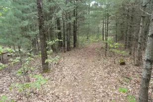 3395 8th Ave, Wisconsin Dells, WI 53965 - Photo 84