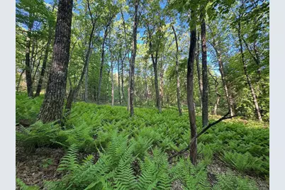 3824 County Hwy E, Warrens,warrens, WI 54666 - Photo 68