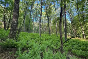 3824 County Hwy E, Warrens,warrens, WI 54666 - Photo 68