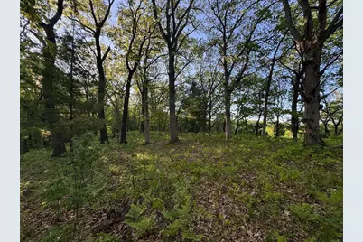 3824 County Hwy E, Warrens,warrens, WI 54666 - Photo 56