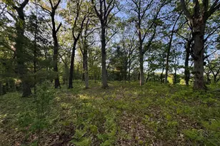 3824 County Hwy E, Warrens,warrens, WI 54666 - Photo 56