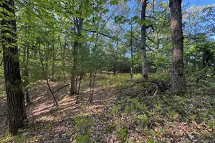 3824 County Hwy E, Warrens,warrens, WI 54666 - Photo 58