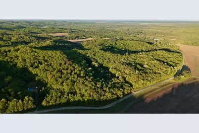 3824 County Hwy E, Warrens,warrens, WI 54666 - Photo 48