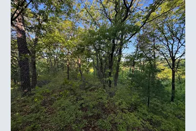 3824 County Hwy E, Warrens,warrens, WI 54666 - Photo 64