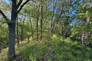 3824 County Hwy E, Warrens,warrens, WI 54666 - Photo 62