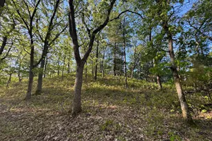 3824 County Hwy E, Warrens,warrens, WI 54666 - Photo 60