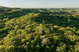 3824 County Hwy E, Warrens,warrens, WI 54666 - Photo 46