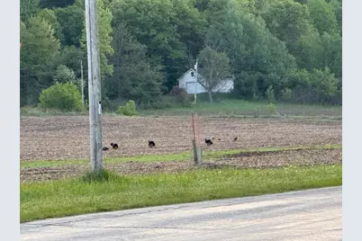 3824 County Hwy E, Warrens,warrens, WI 54666 - Photo 70