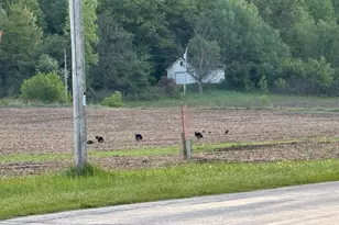 3824 County Hwy E, Warrens,warrens, WI 54666 - Photo 70