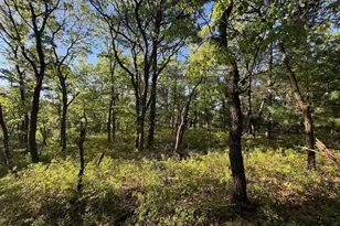 3824 County Hwy E, Warrens,warrens, WI 54666 - Photo 66