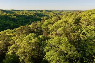 3824 County Hwy E, Warrens,warrens, WI 54666 - Photo 50