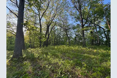 3824 County Hwy E, Warrens,warrens, WI 54666 - Photo 54