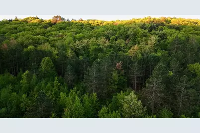 3824 County Hwy E, Warrens,warrens, WI 54666 - Photo 38