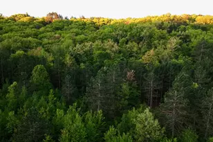 3824 County Hwy E, Warrens,warrens, WI 54666 - Photo 38