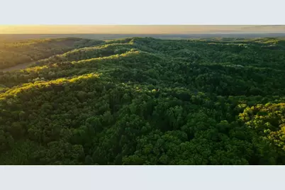 3824 County Hwy E, Warrens,warrens, WI 54666 - Photo 42