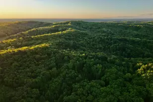 3824 County Hwy E, Warrens,warrens, WI 54666 - Photo 42